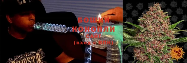дмт Богданович