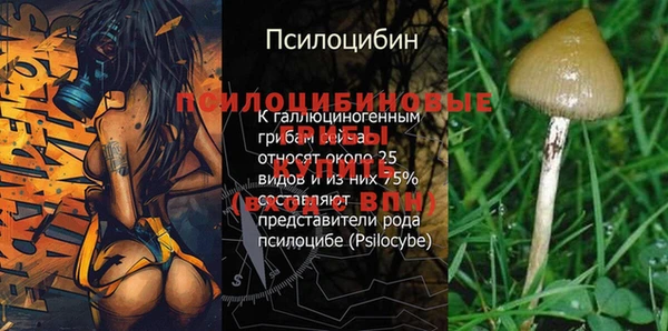 кокс Богородицк
