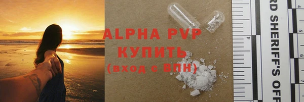 дмт Богданович