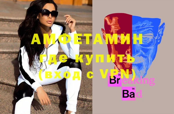 дмт Богданович