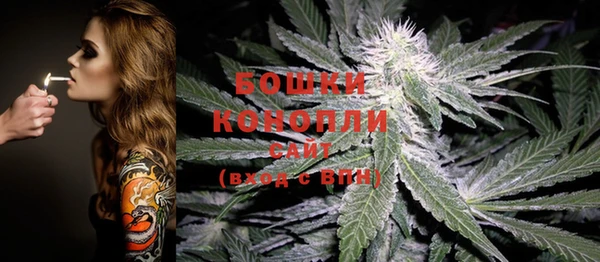 кокс Богородицк