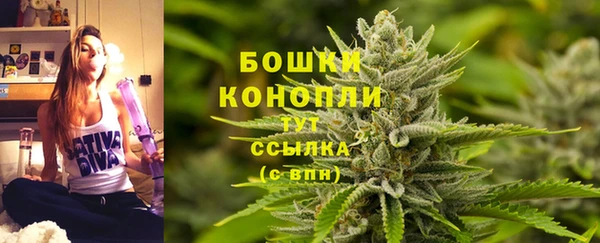 кокс Богородицк