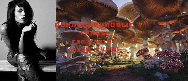 марки lsd Бугульма