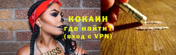 кокс Богородицк