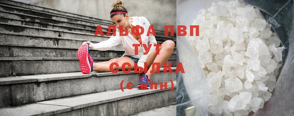 дживик Бронницы