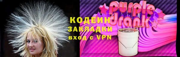 дмт Богданович