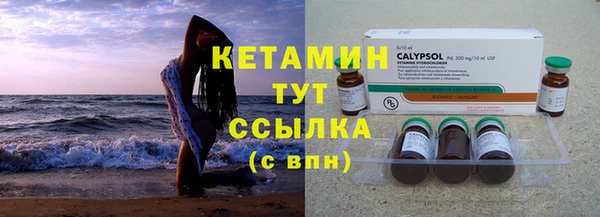 дмт Богданович