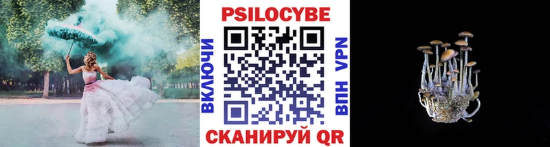 Псилоцибиновые грибы прущие грибы  Гороховец 